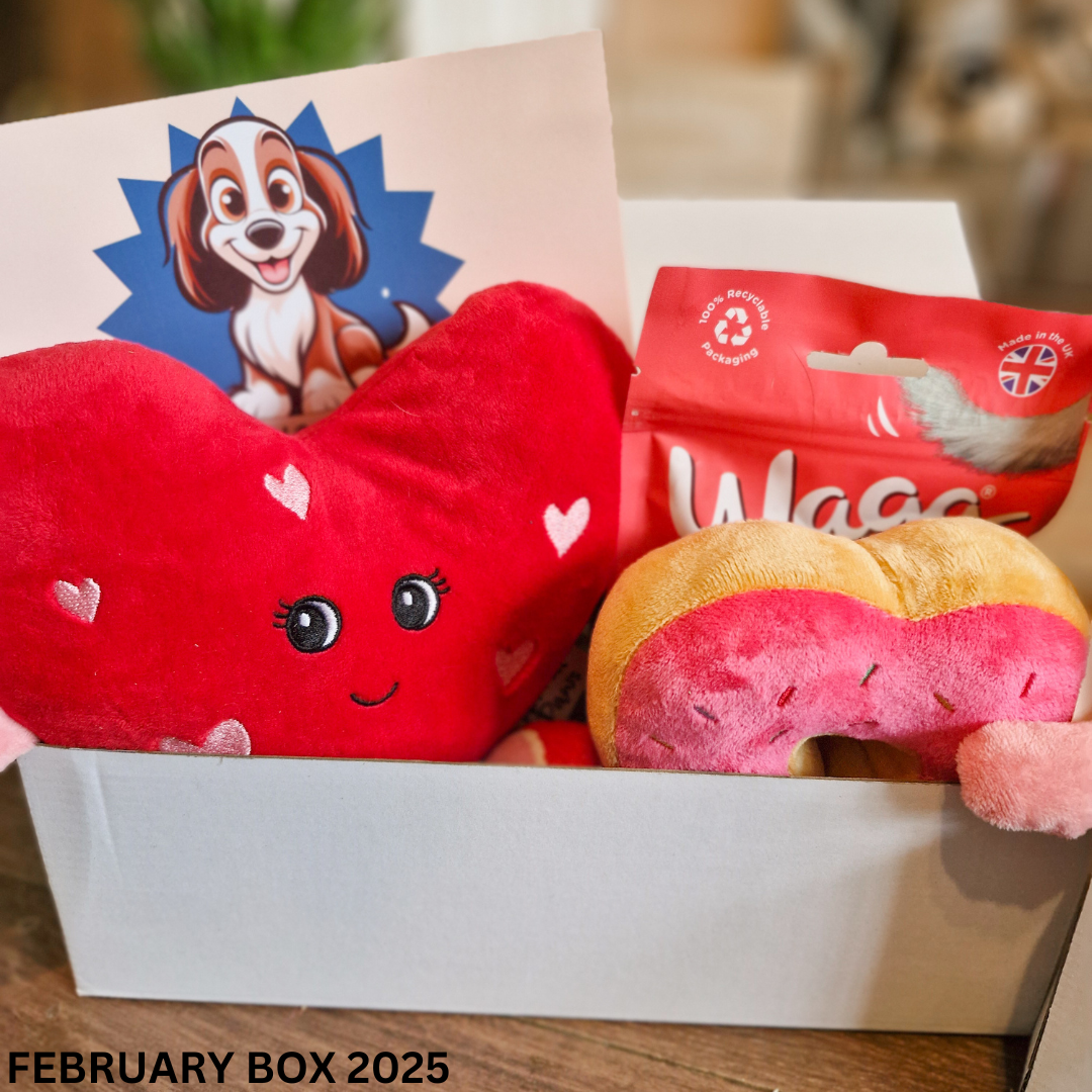 Trick Box Subscription