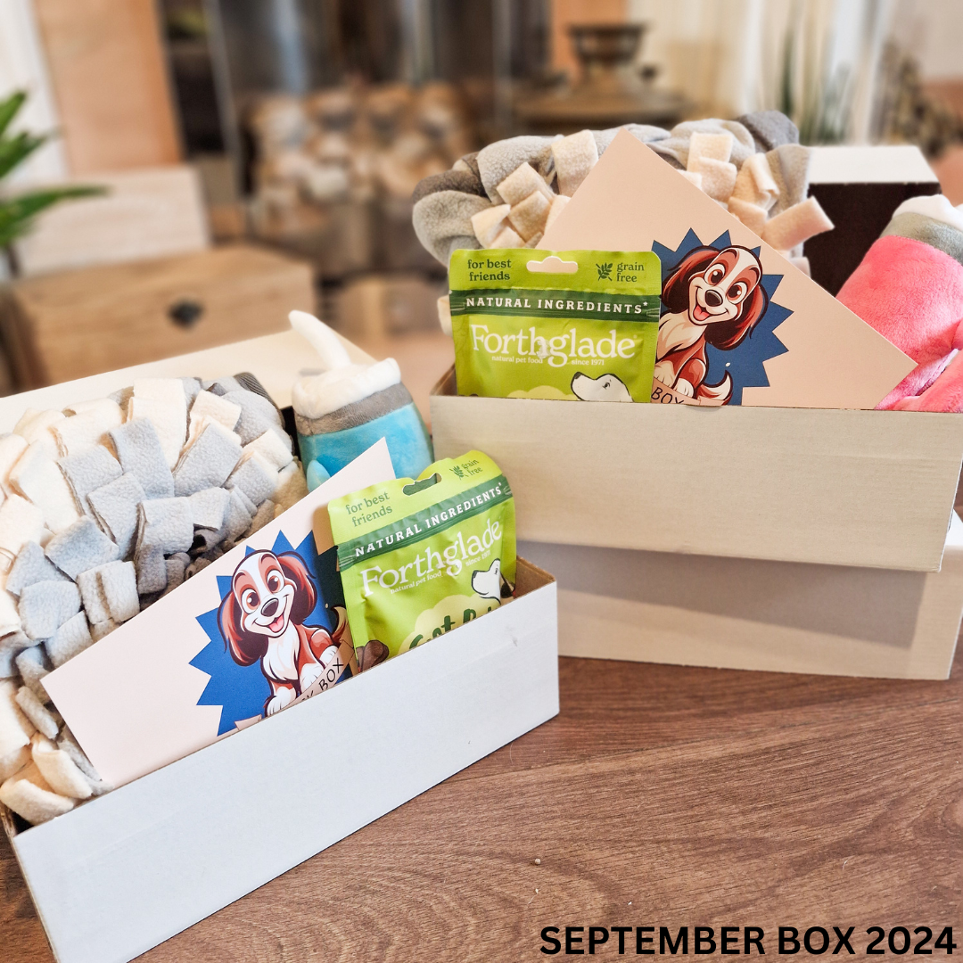 Trick Box Subscription