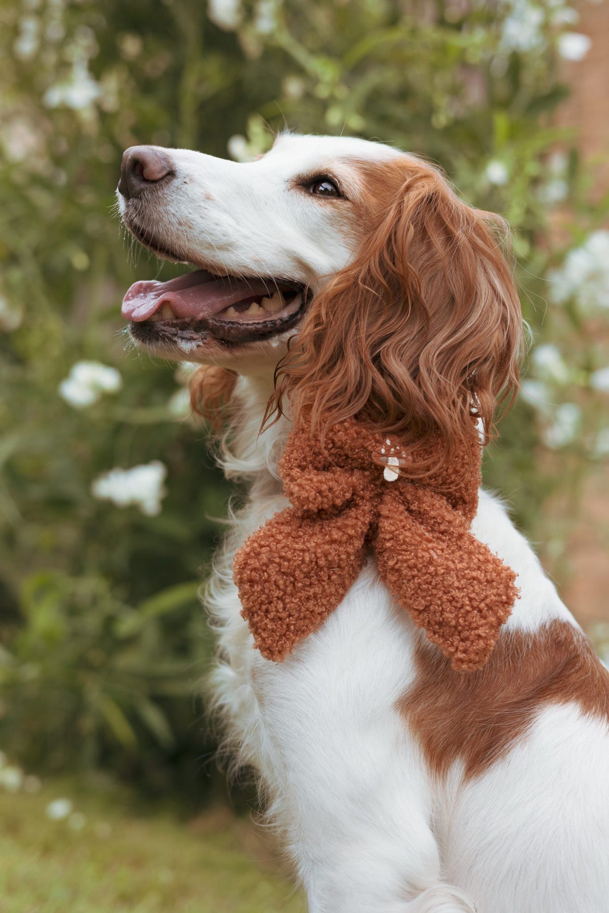 Woodland Acorn Teddy Sailor Bow