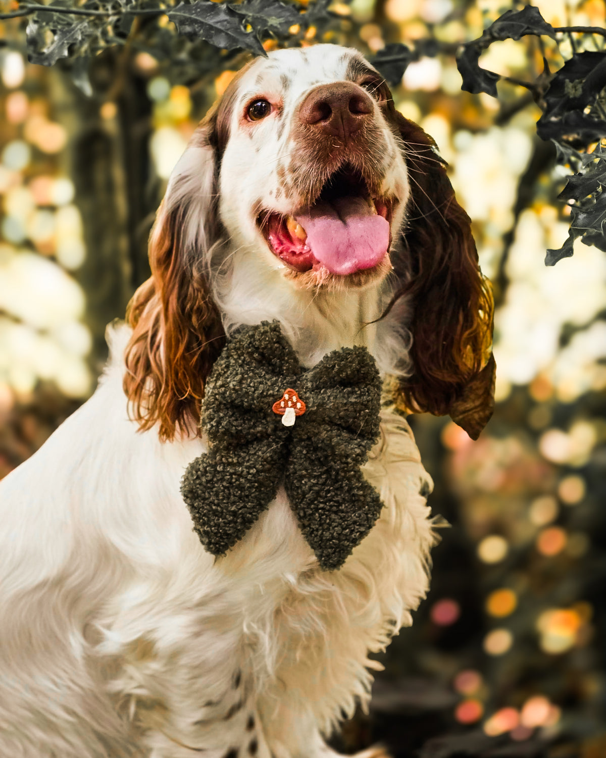 Woodland Fern Teddy Sailor Bow