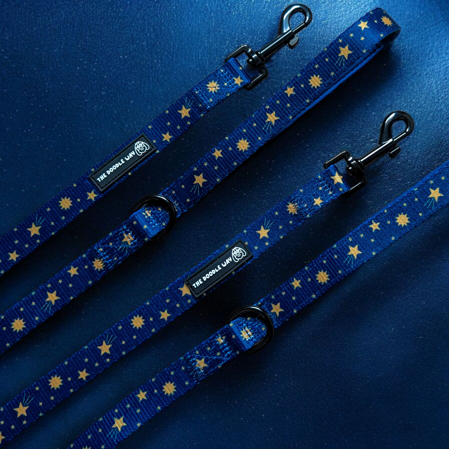 Wish Upon A Paw Lead