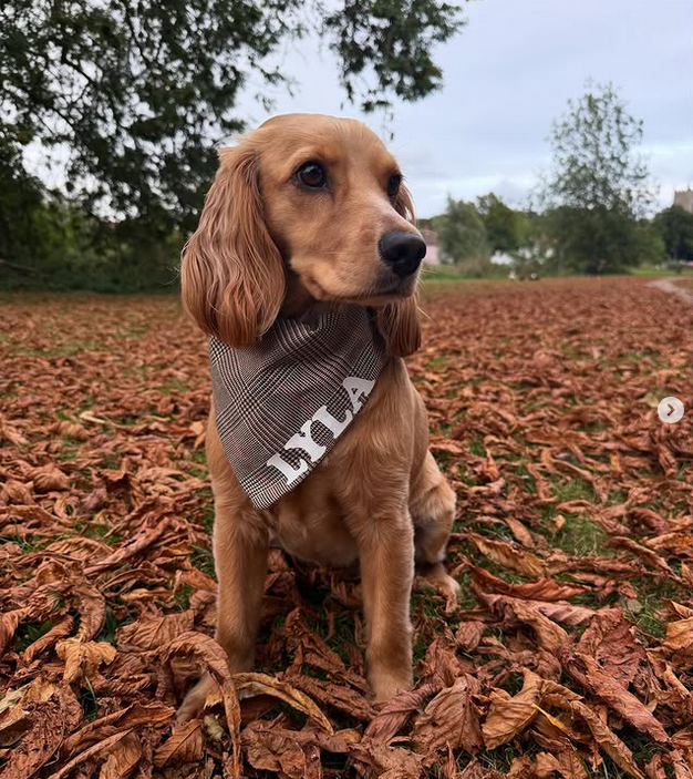 Autumnal Check Bandana