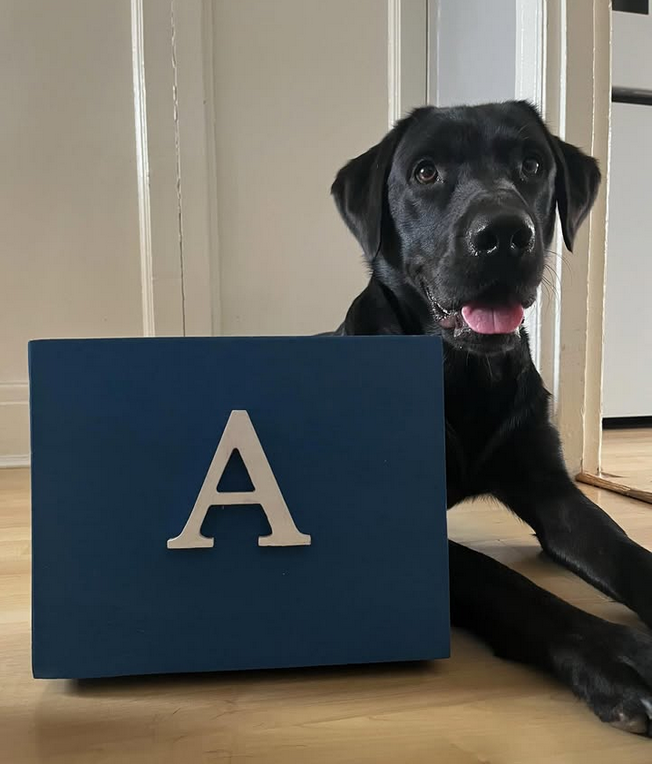 Personalised Storage Box
