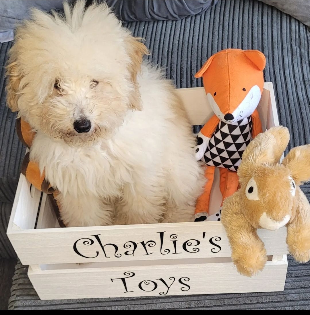 Personalised Toy Box