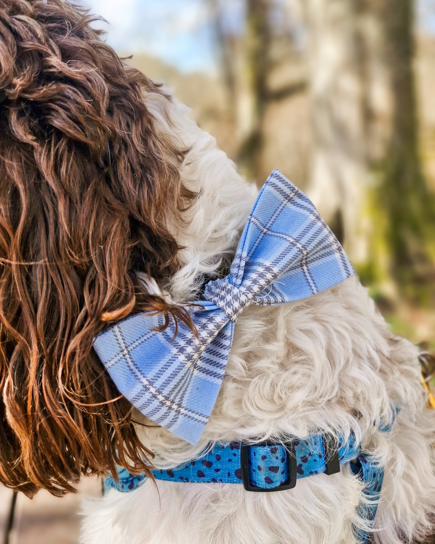 Check Me Out Blue Bow Tie