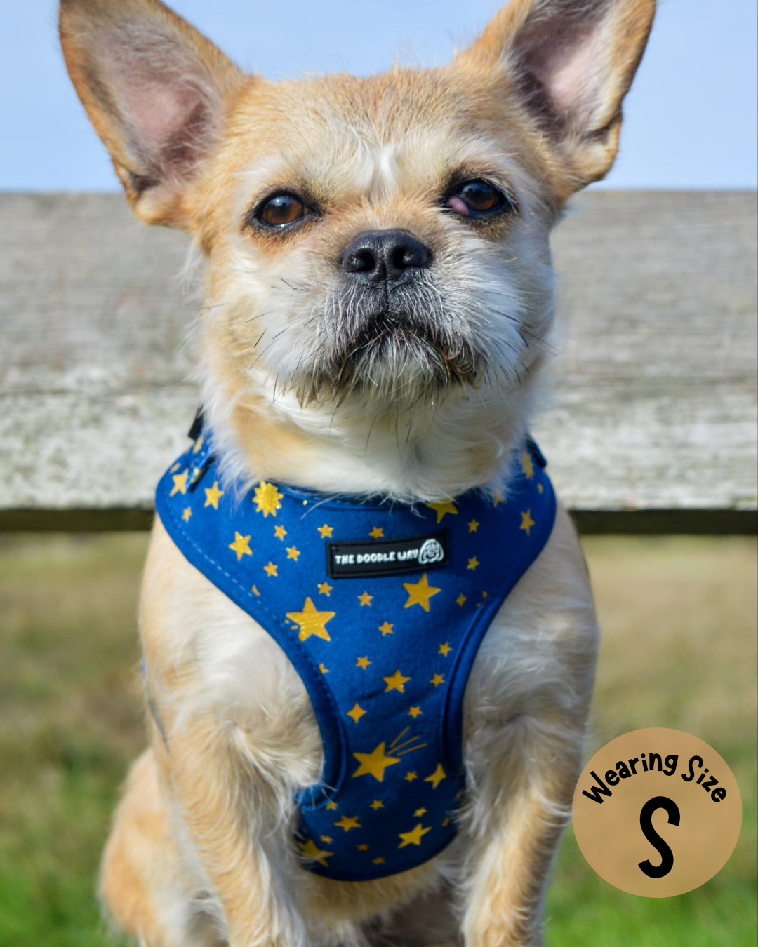 Wish Upon A Paw Adjustable Harness