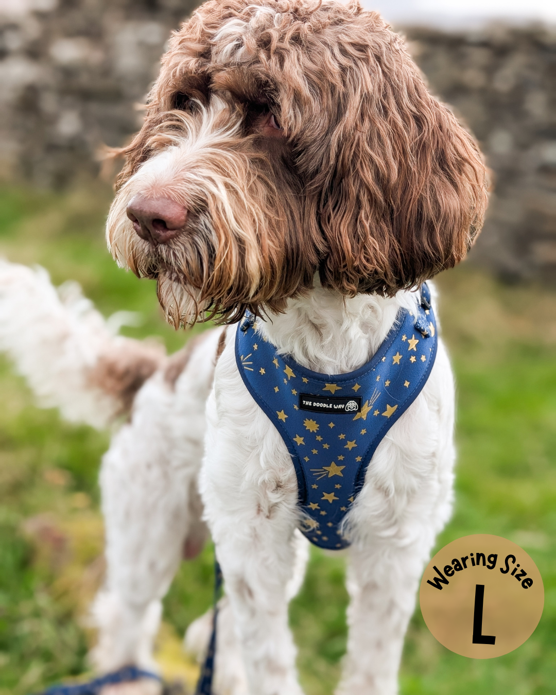 Wish Upon A Paw Adjustable Harness