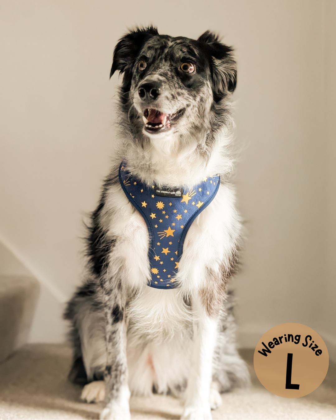 Wish Upon A Paw Adjustable Harness