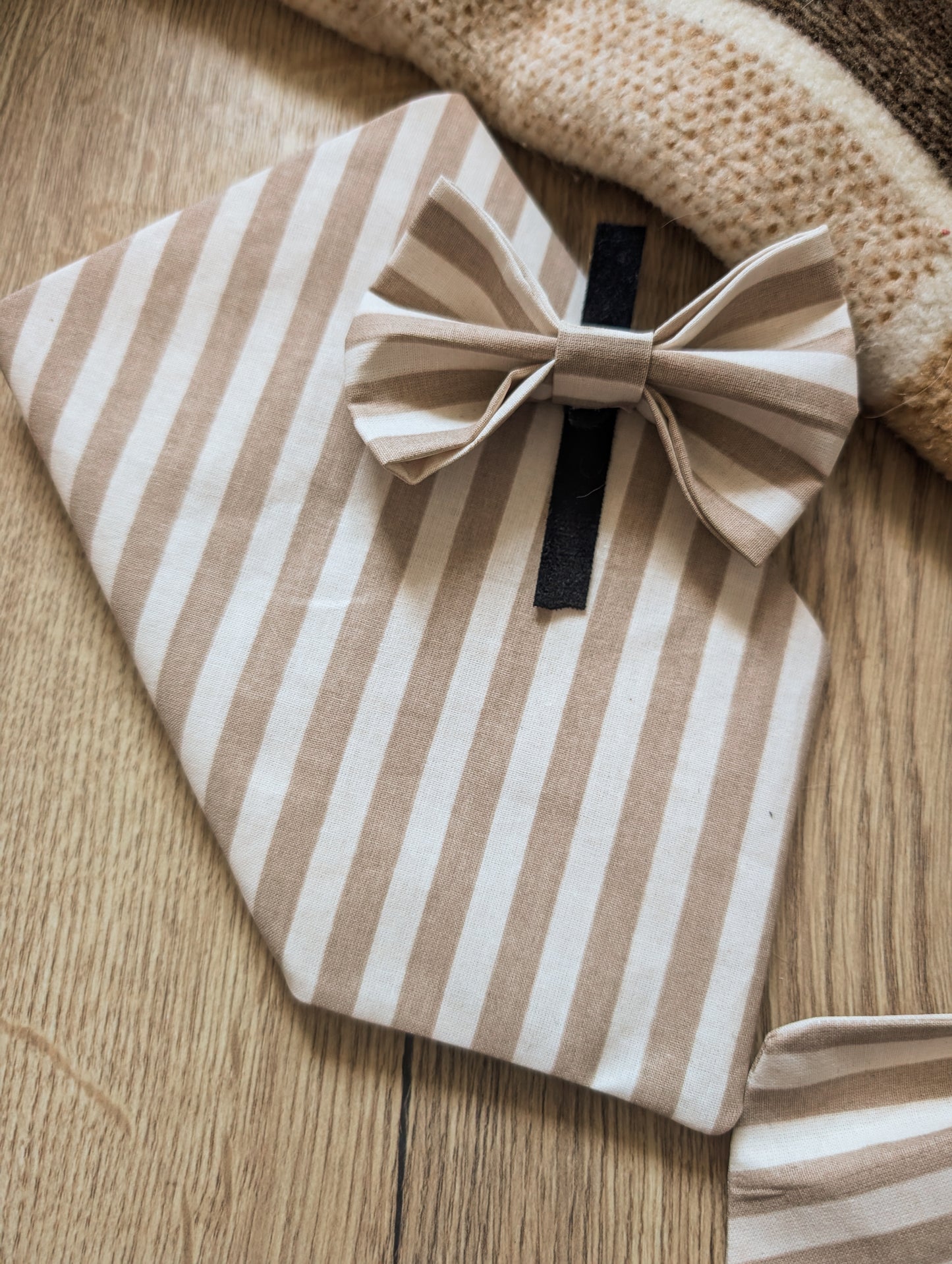 Cheltenham Bandana and Bow Tie for dogs 