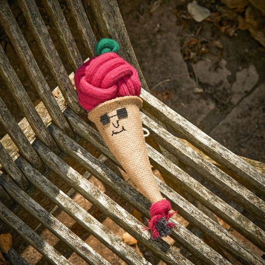 Pawnetto Ice Cream Toy