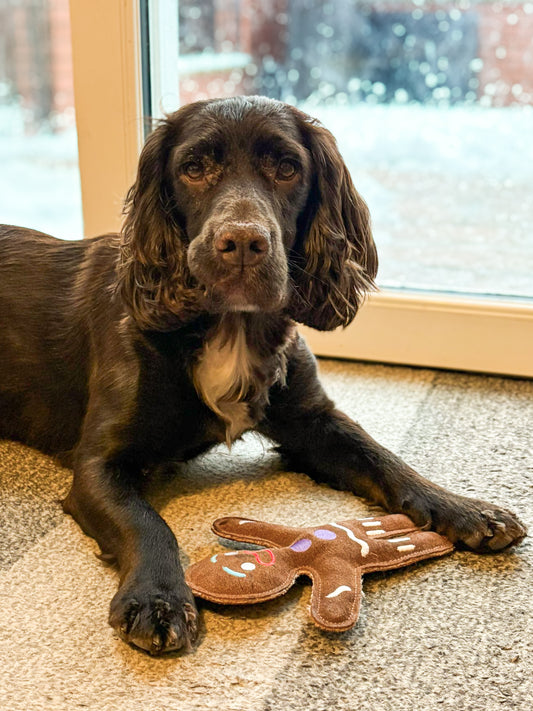 Jean The Gingerbread Eco Toy