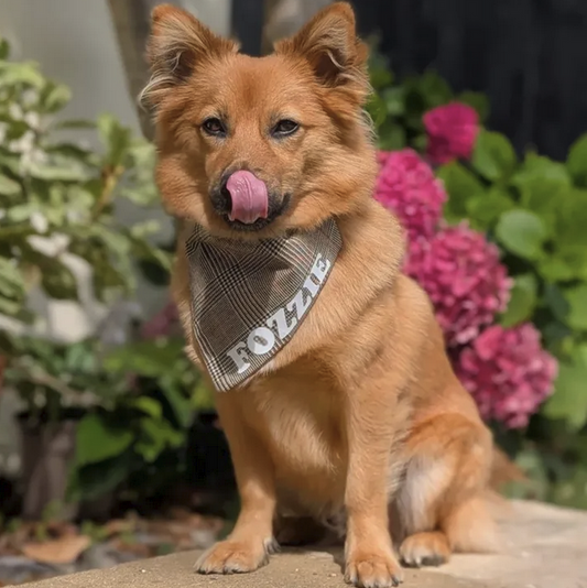 Autumnal Check Bandana
