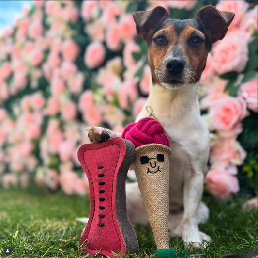 Pawnetto Ice Cream Toy