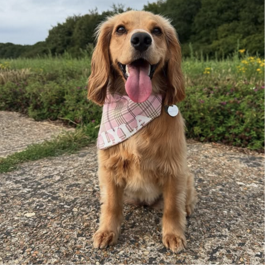 Check Me Out Pink Bandana