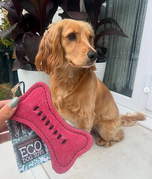 Pink Eco Bone Toy