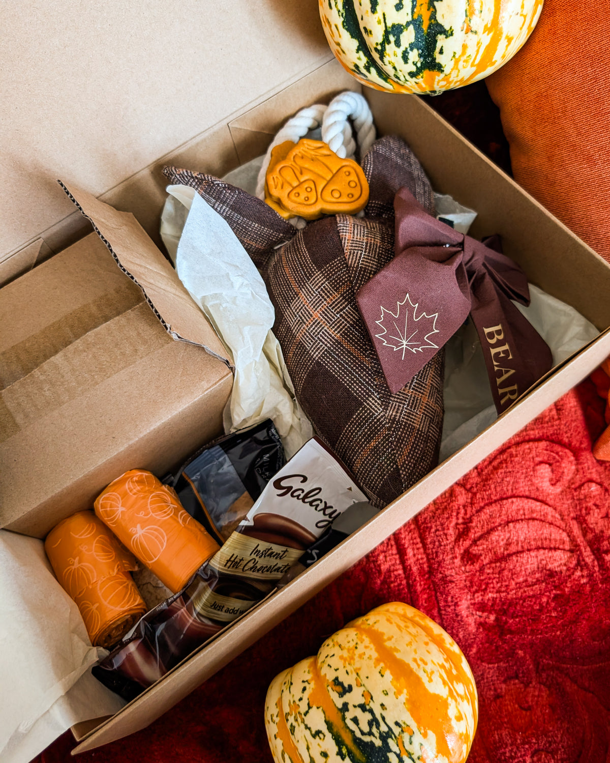 Countryside Hound-Autumnal Box